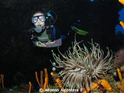 Canon G10 by Alfonso Alcantara F. 